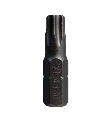 Torx Drive Bits